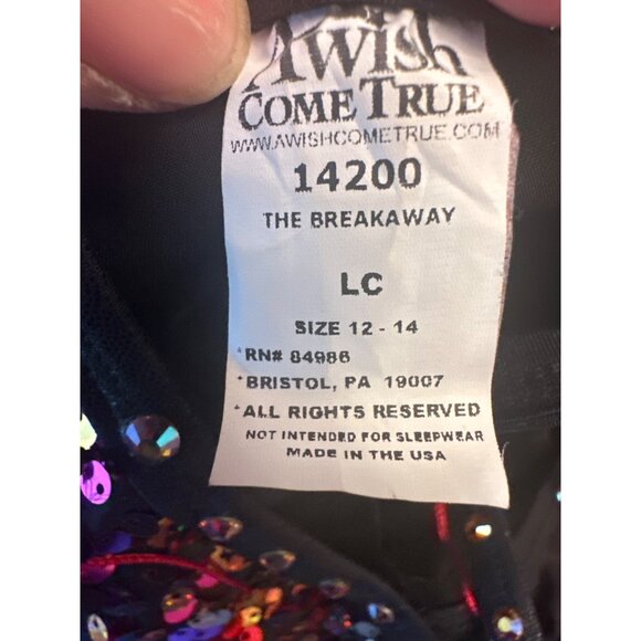 A Wish Come True "The Breakaway" Sequin Fringe Dance Costume‎ Girls Size 12 - Picture 4 of 4